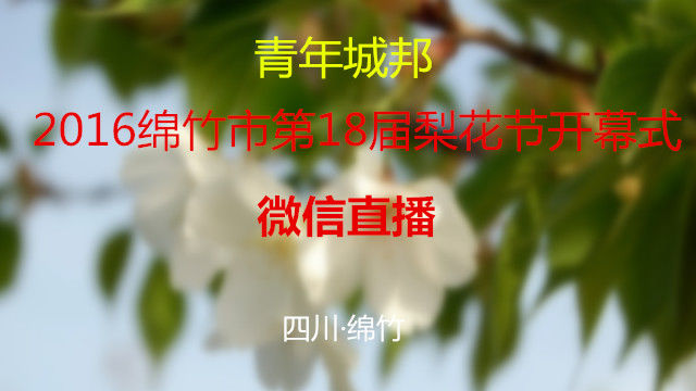 青年城邦·2016绵竹市第18届梨花节开幕式